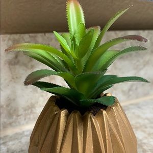 Potted Faux Succulent